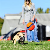 Chuckit Kick Fetch Small 12,5 Cm