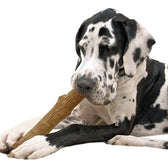 Petstages Dogwood Durable Stick Large 20 Cm