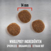 Orijen Whole Prey Senior Dog 11,4 Kg
