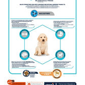 Advance Puppy Protect Maxi 12 Kg