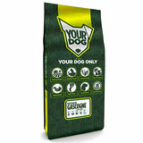 Yourdog Petit Bleu De Gascogne Volwassen 12 Kg