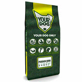 Yourdog Pharaoh Hond Pup 12 Kg