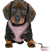 Trixie Junior Puppytuig Soft Met Riem Lila 26-34X1 Cm  / 2 Mtr