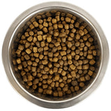 Yourdog Koningspoedel Pup 12 Kg