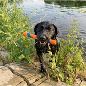 Chuckit Ultra Fetch Stick