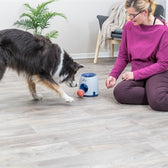 Trixie Dog Activity Strategiespel Ball&Treat Lichtgrijs / Blauw 17X17X18 Cm