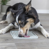 Trixie Lick'n'snack Mat Siliconen Lichtgrijs 20X20 Cm