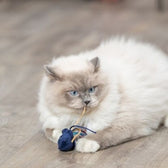 Trixie Zeedier Pluche Met Catnip Assorti 5-8 Cm