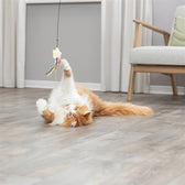 Trixie Kattenhengel Ster Kunststof / Pluche Met Catnip 46 Cm