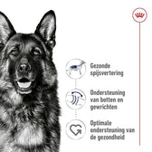 Royal Canin Maxi Adult 15 Kg