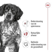 Royal Canin Medium Adult 15 Kg