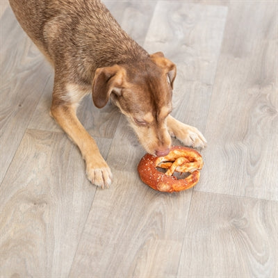 Trixie Denta Fun Pretzels Eend 10 Cm