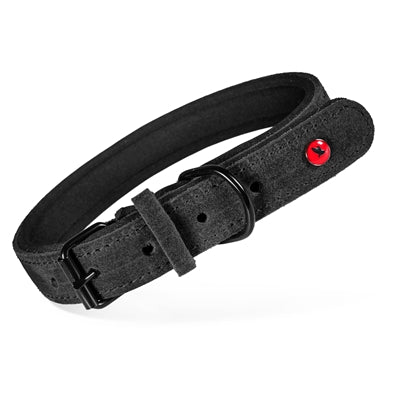 Zolux Expert Halsband Hond Premium Leer / Neopreen Zwart 45X1,8 Cm