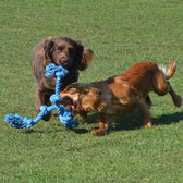 Happy Pet Flossin Fun 3 Knoop Small 35X10Cm