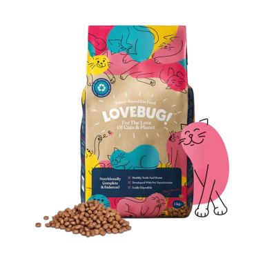 Dried Food